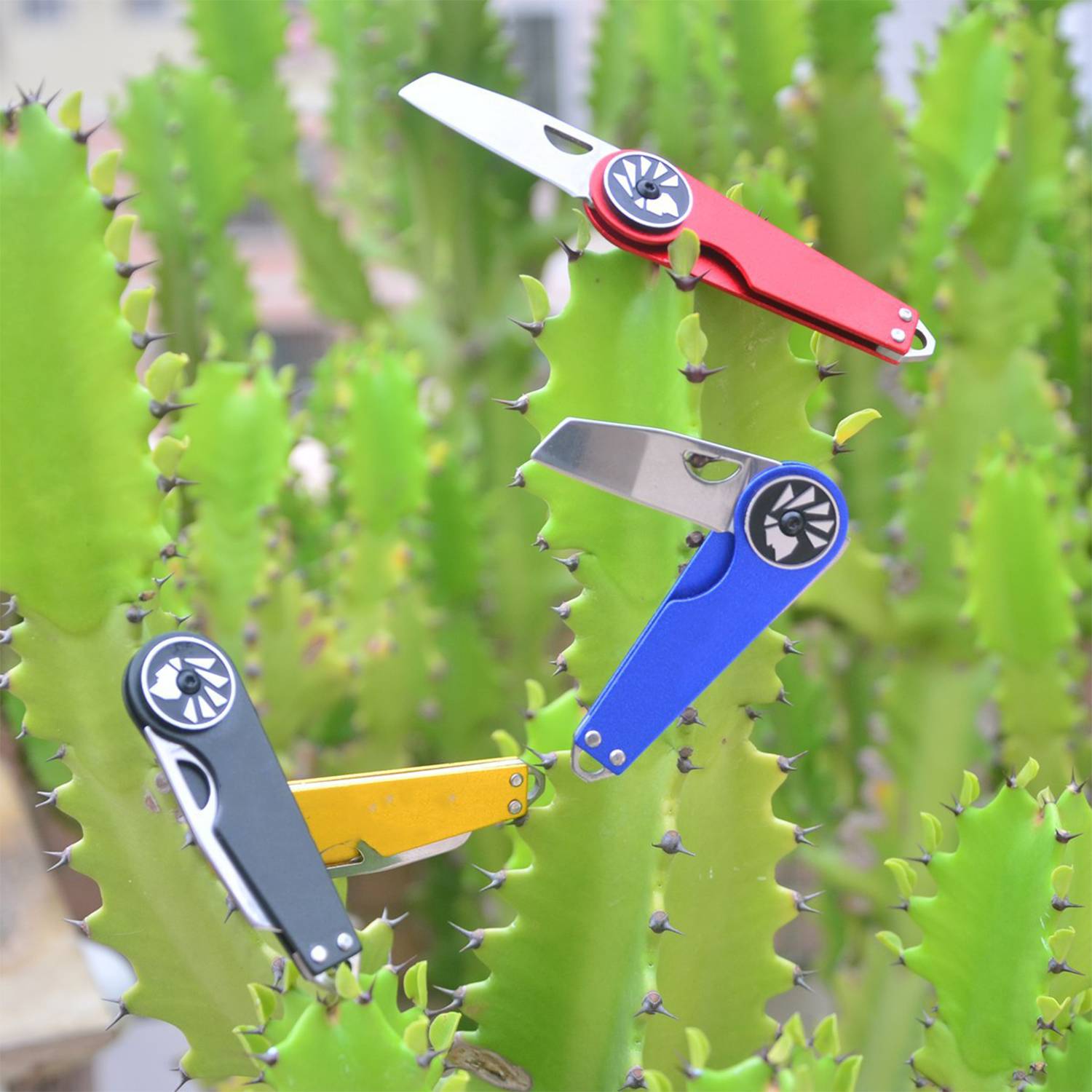 Foldable Camping Fruit Knife 8