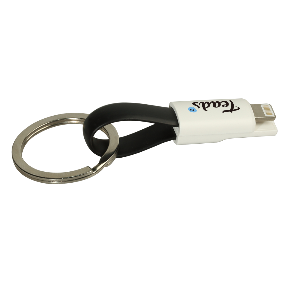 Commons Key Ring Charging Cable 2