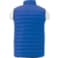 Men's Whistler Light Down Vest 79