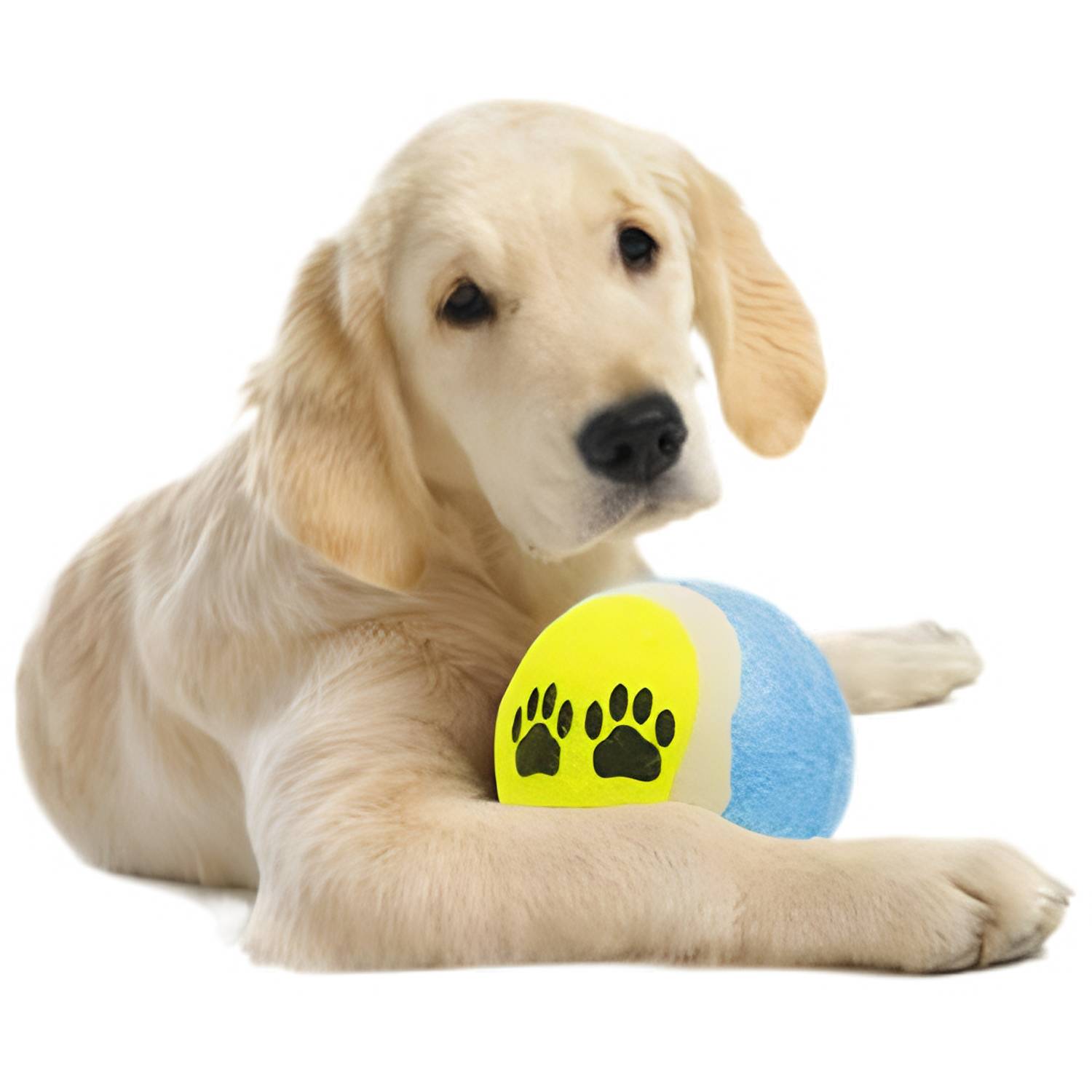 Pet Paw Print Interactive Tennis Ball Toy 5