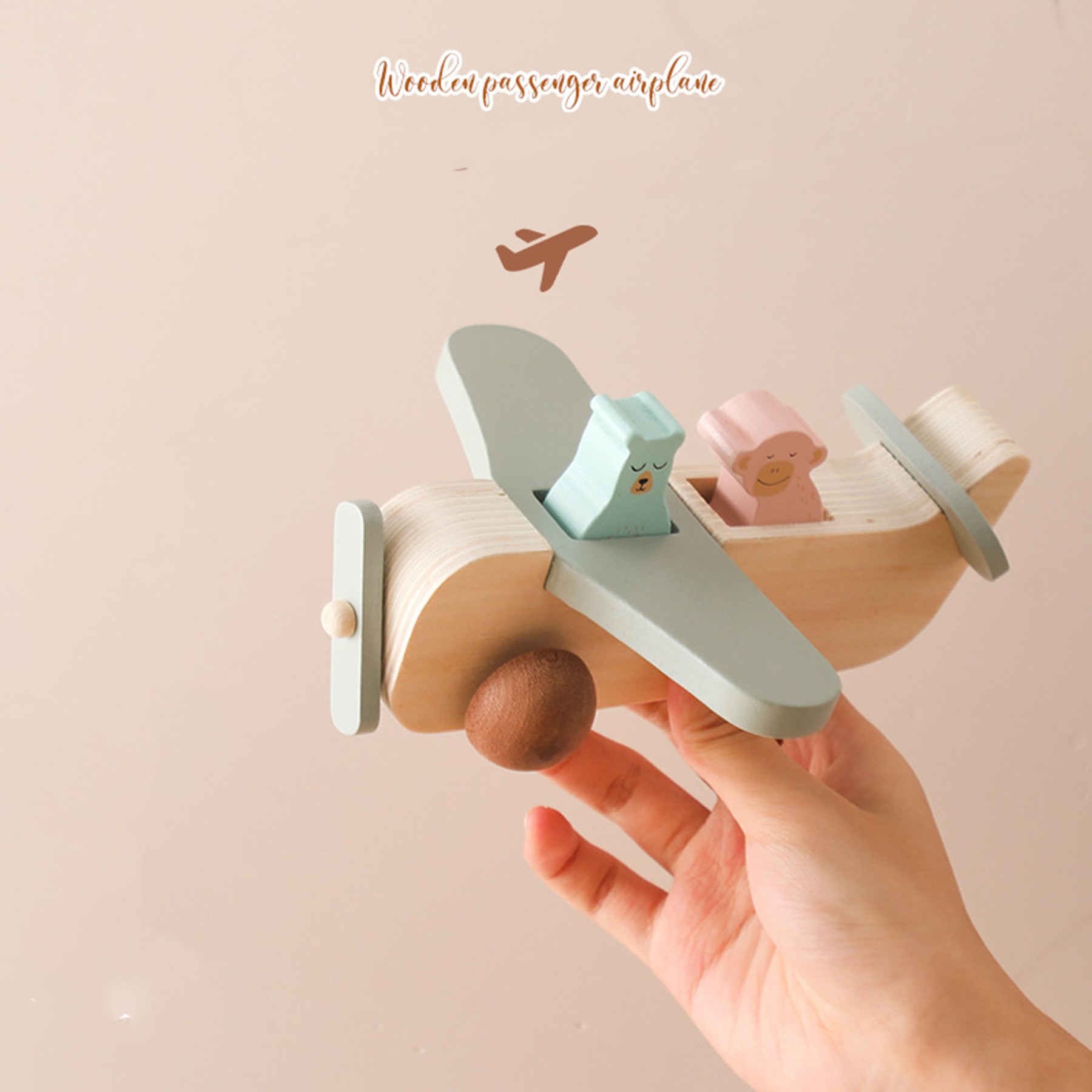 Wooden Passenger Aircraft 3