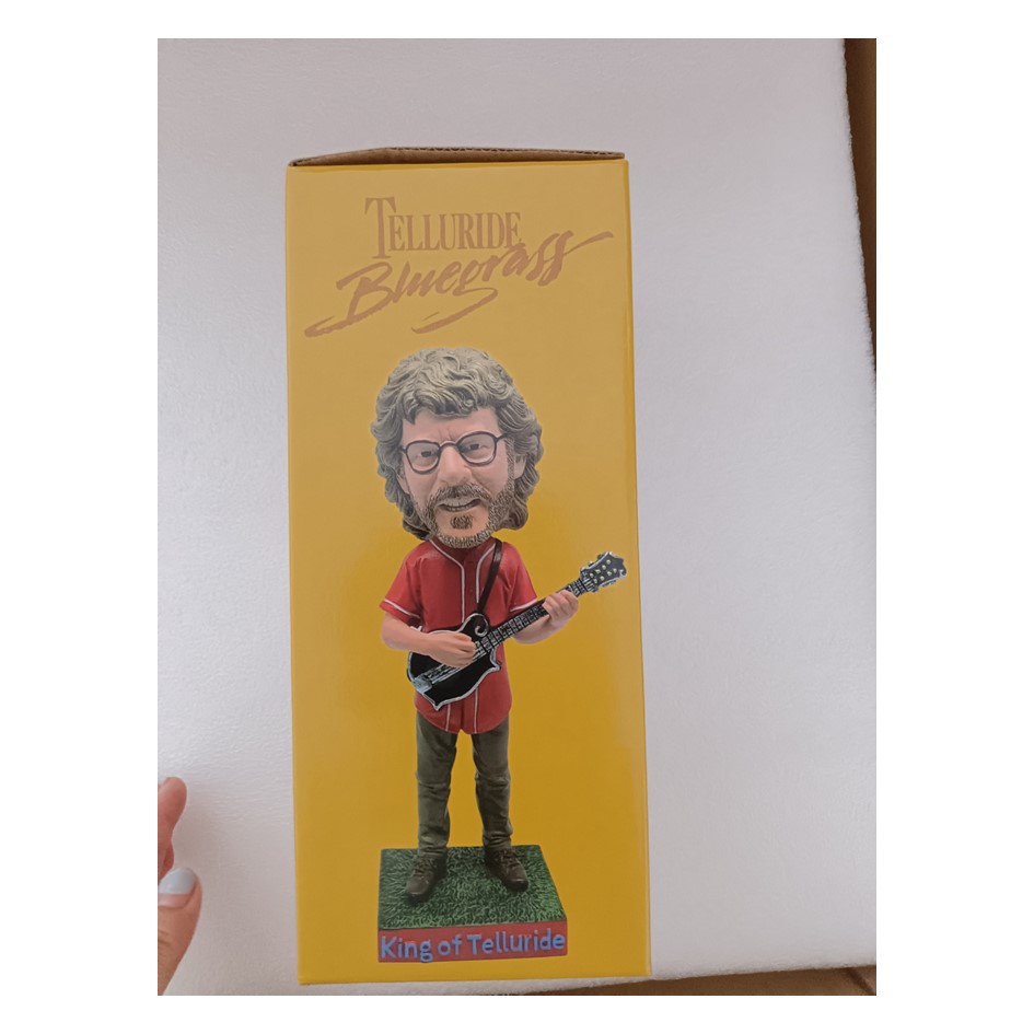 Musician - Custom Resin Bobblehead Figure ( Drop Testing for Every Batch) 2