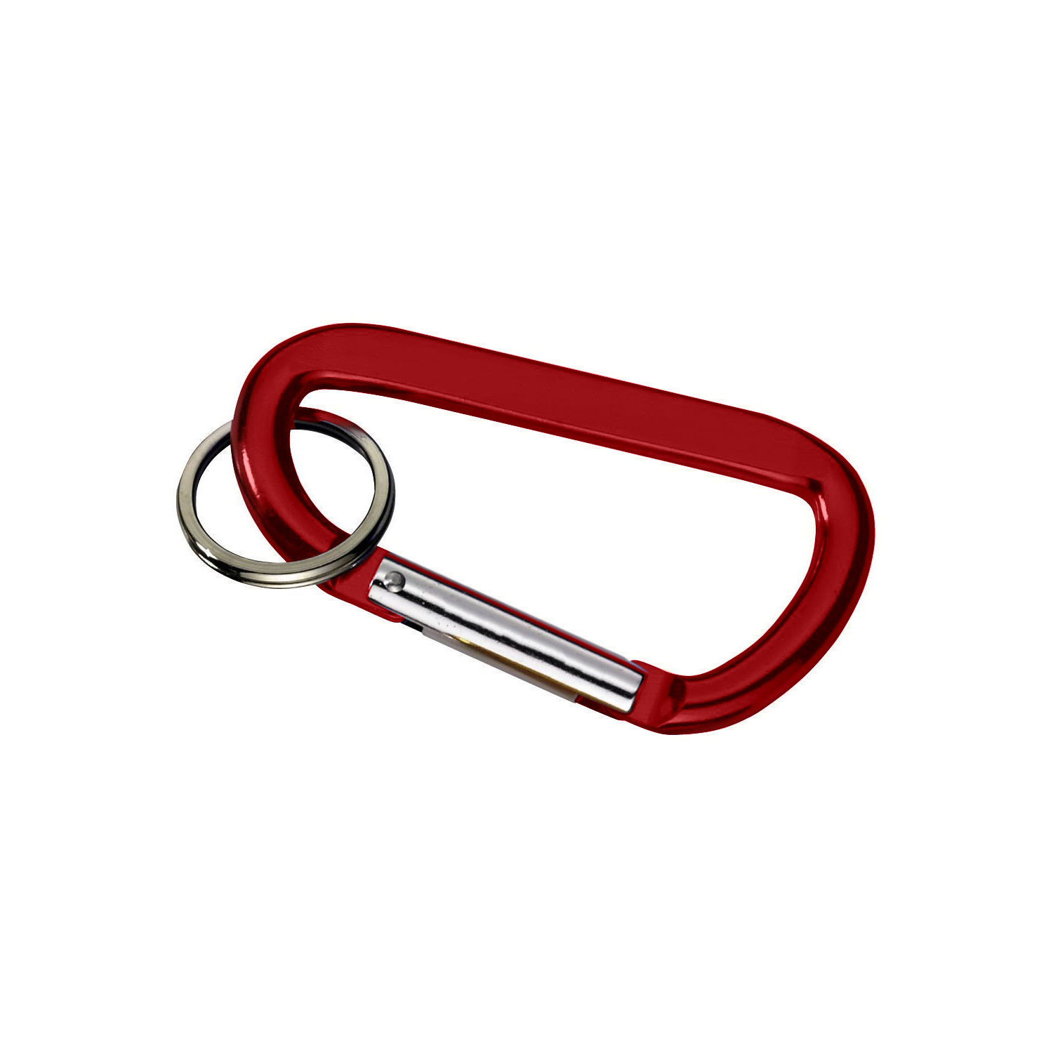 Carabiner with Ring 5