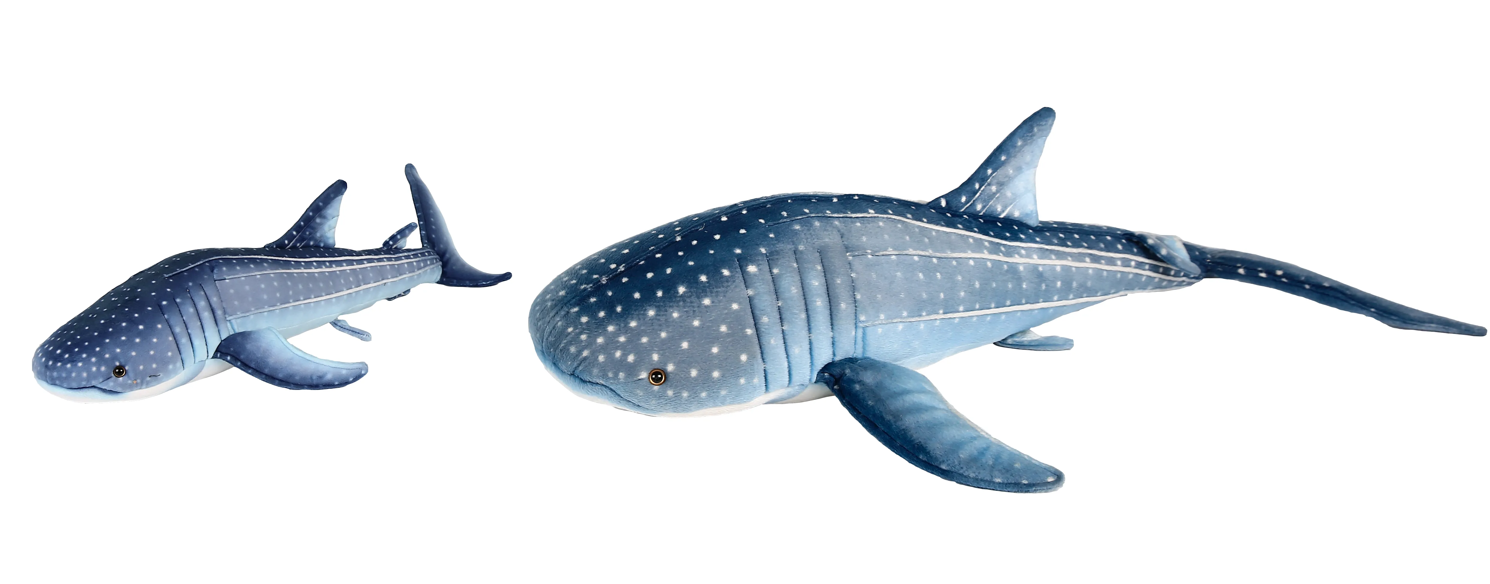 Blue and Green Sharks 4