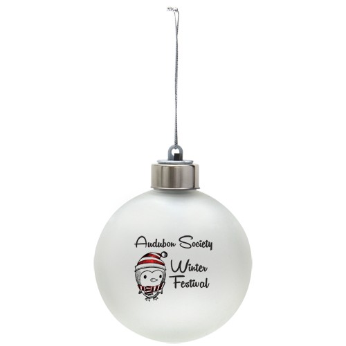Light-Up Shatter Resistant Ornament 5