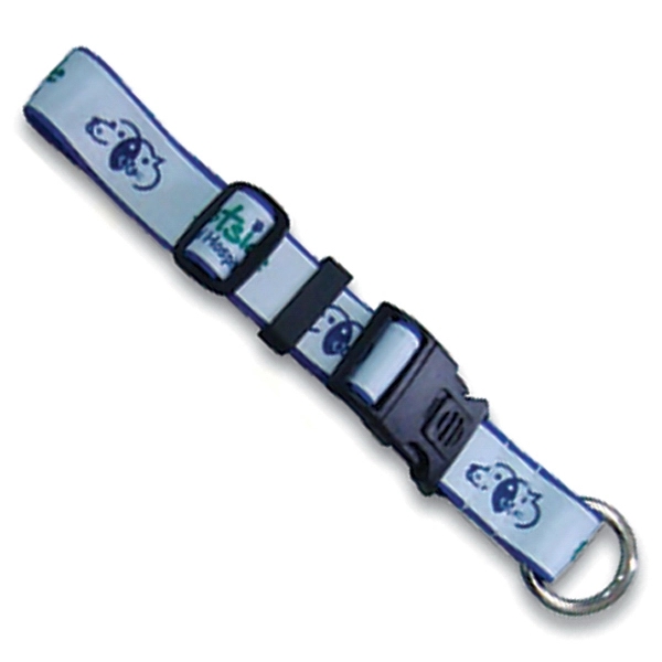 Small Dog Collar 2