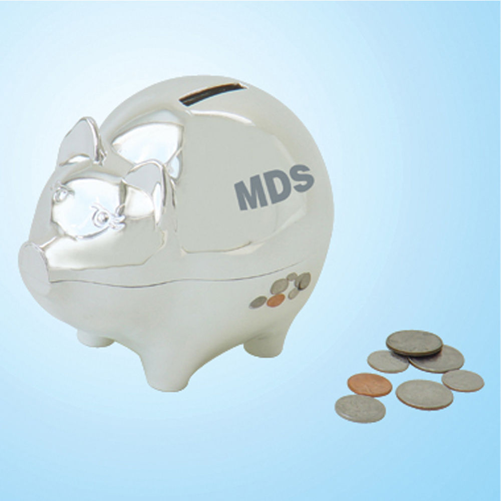 Jumbo GenuineSilver Plated Metal Piggy Bank 2