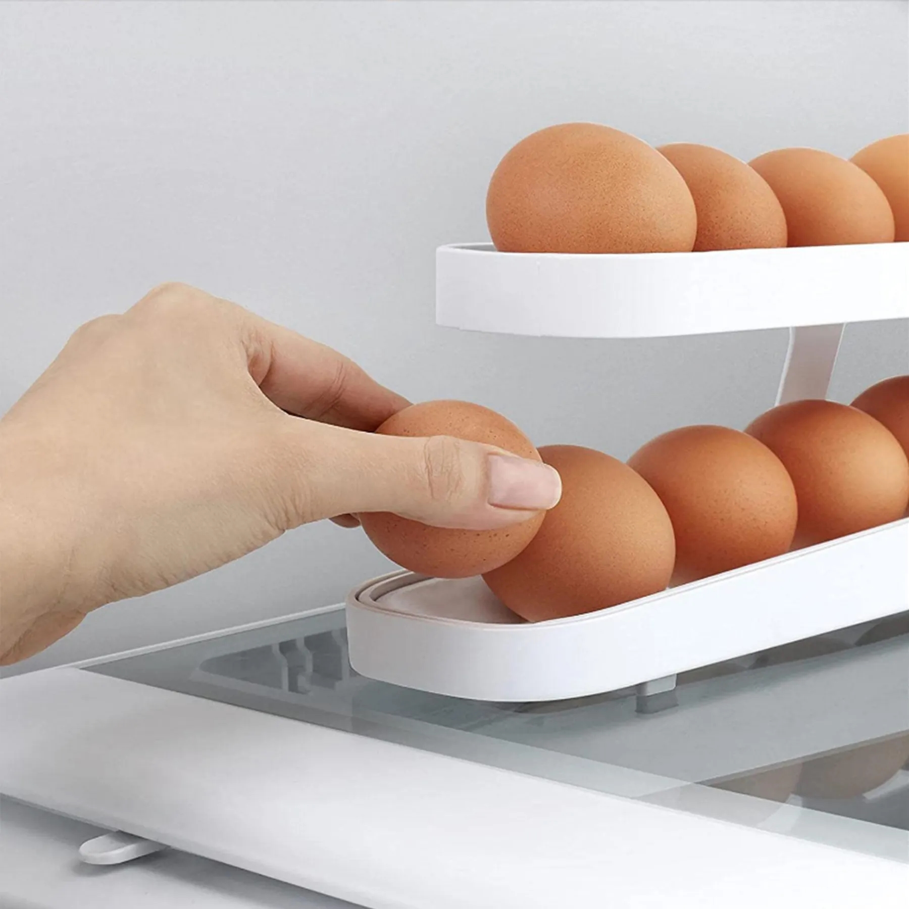 Plastic Egg Storage Box 2
