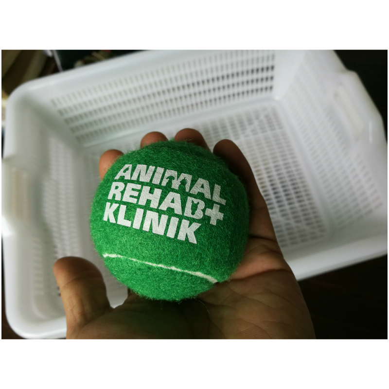 Pet Tennis Ball 2
