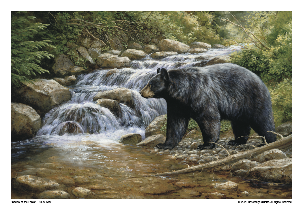 Triumph® Calendars Wildlife Art Calendar 40