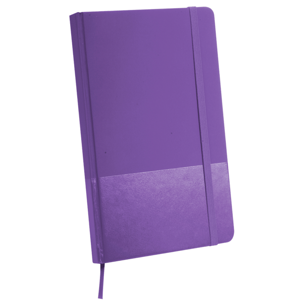 Kingston Journal Book 17