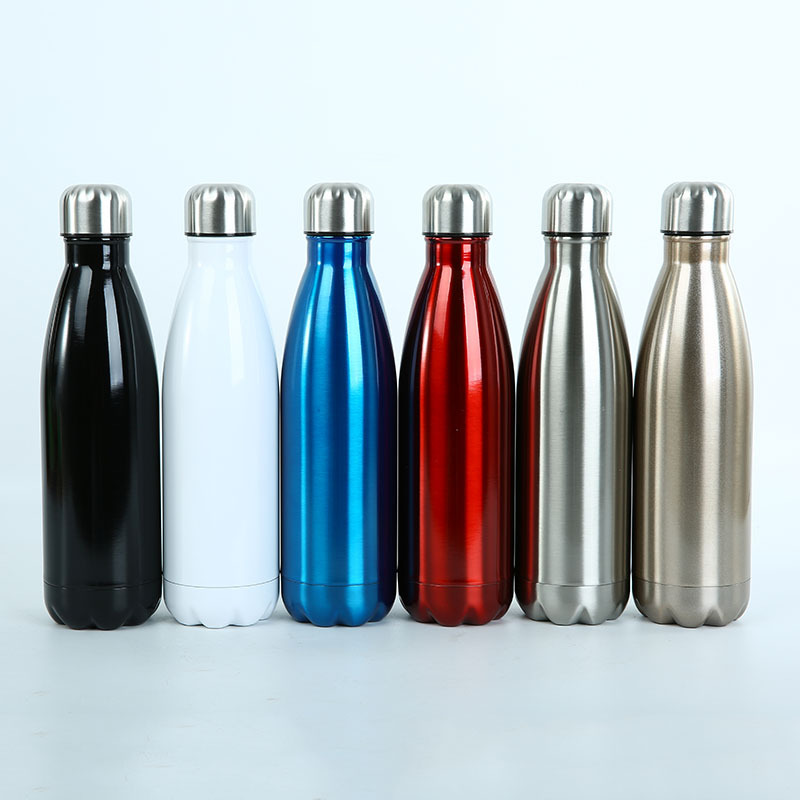 Stainless Steel Bottle 1