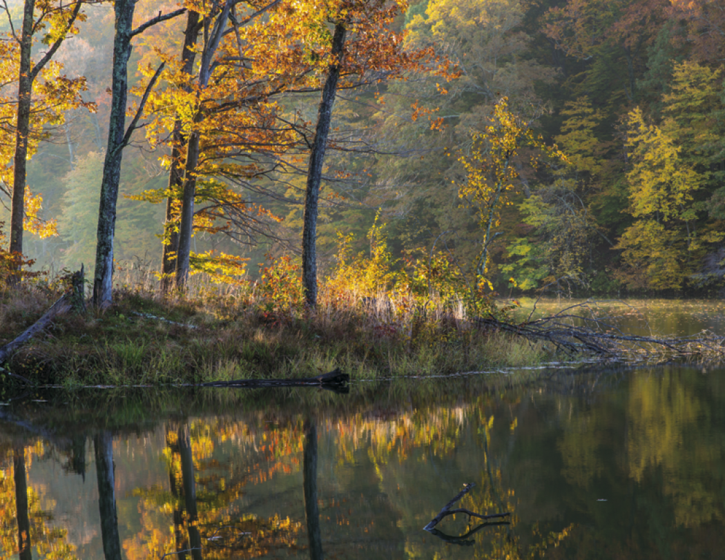 HotLine® Products Contemplations Appointment Calendar - Spiral 29