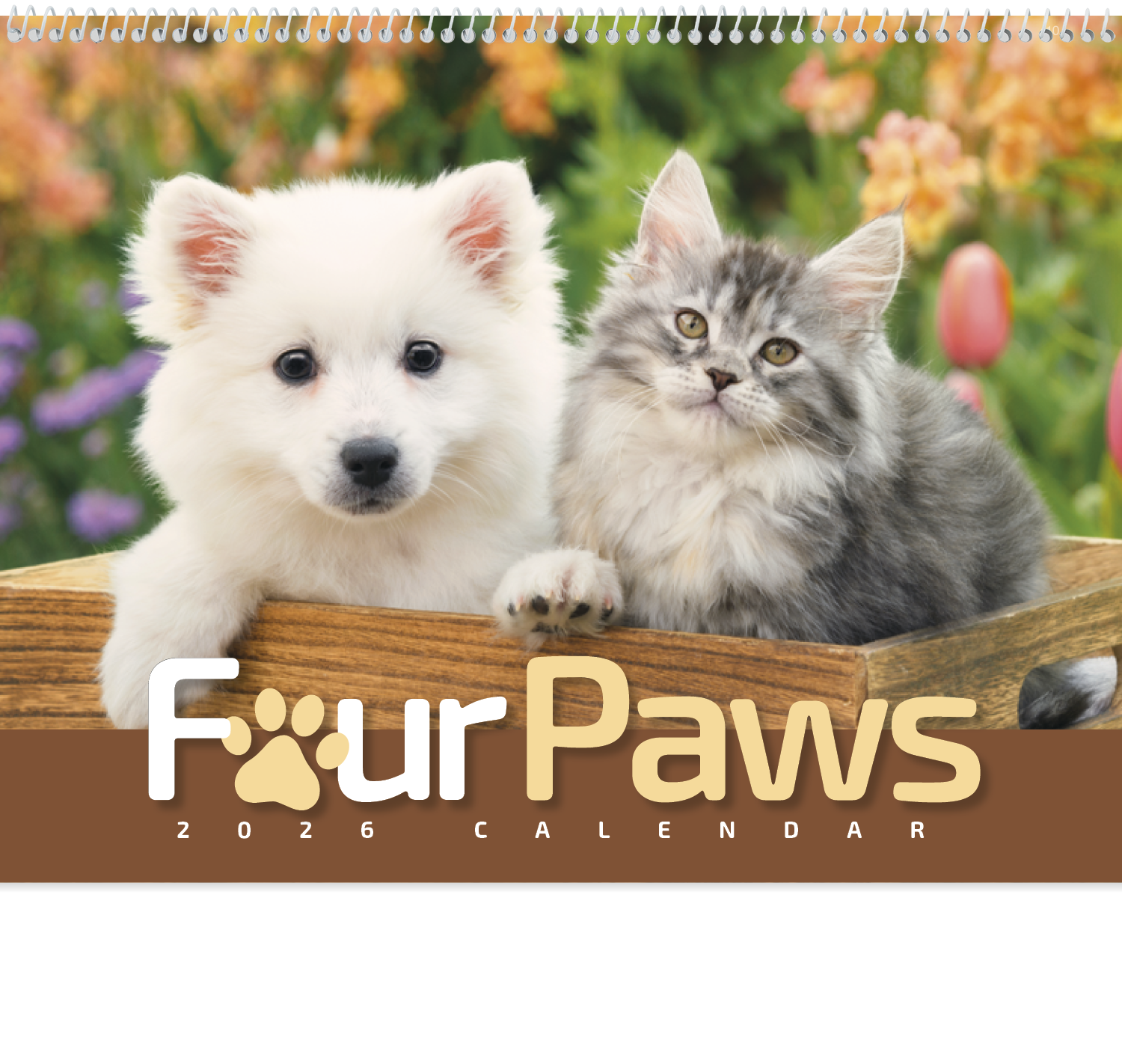 HotLine® Products Four Paws Appointment Calendar - Spiral 18
