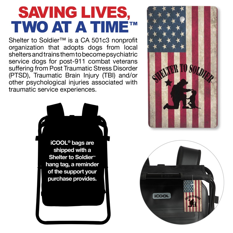 iCOOL Teton Waterproof 20L Laptop Backpack Chair 31