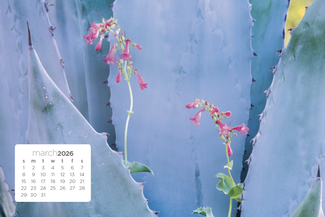 Triumph® Calendars Simplicity Large Desk Calendar 8