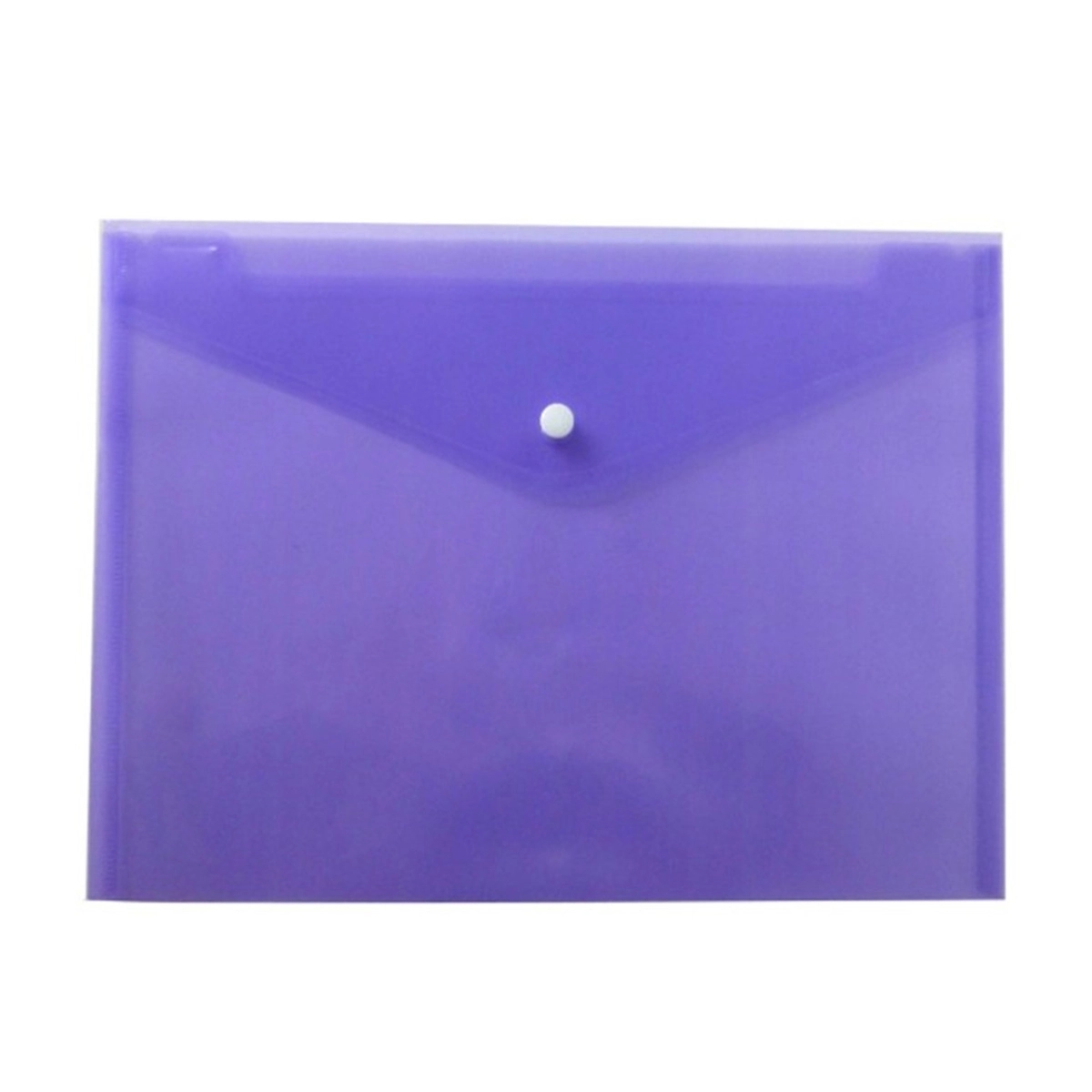 Clear Document Pouch 6
