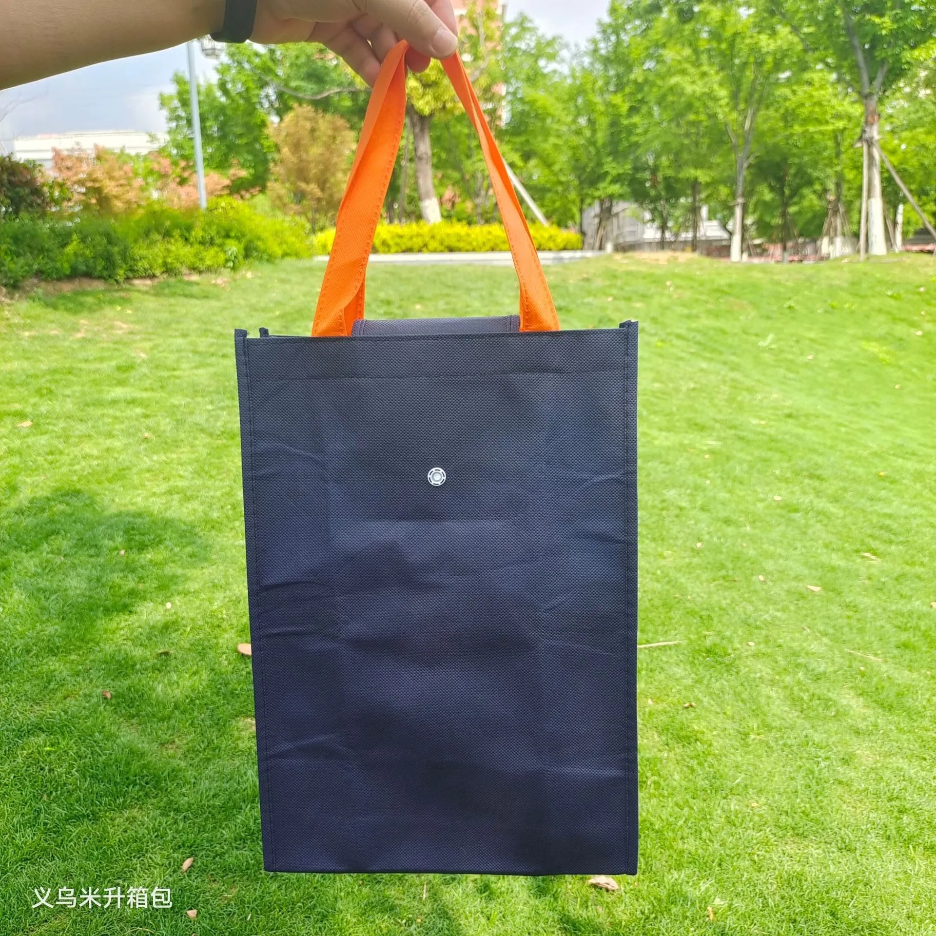 Folding Non-Woven Shopping Bag 5