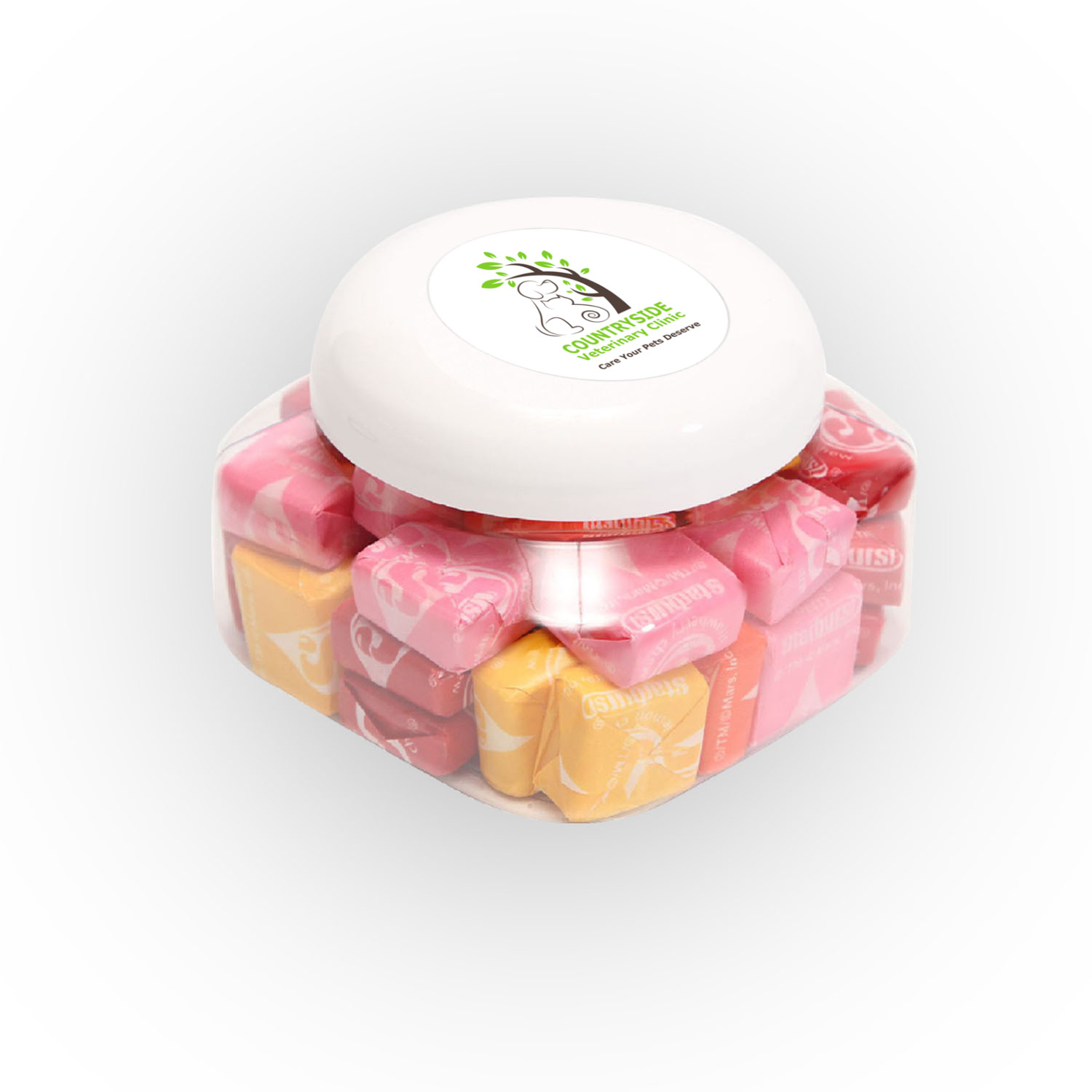 Large Snack Canister Standard Fill 2