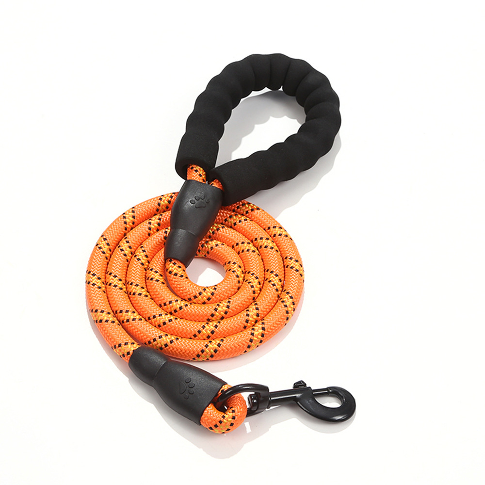 Outdoor pet leash 2