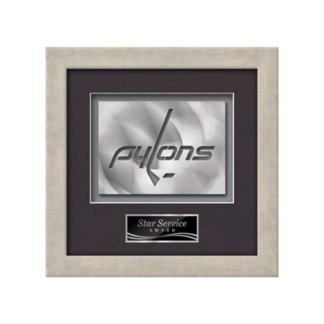 Eldridge Aquashape™ Award - Antique Silver 5