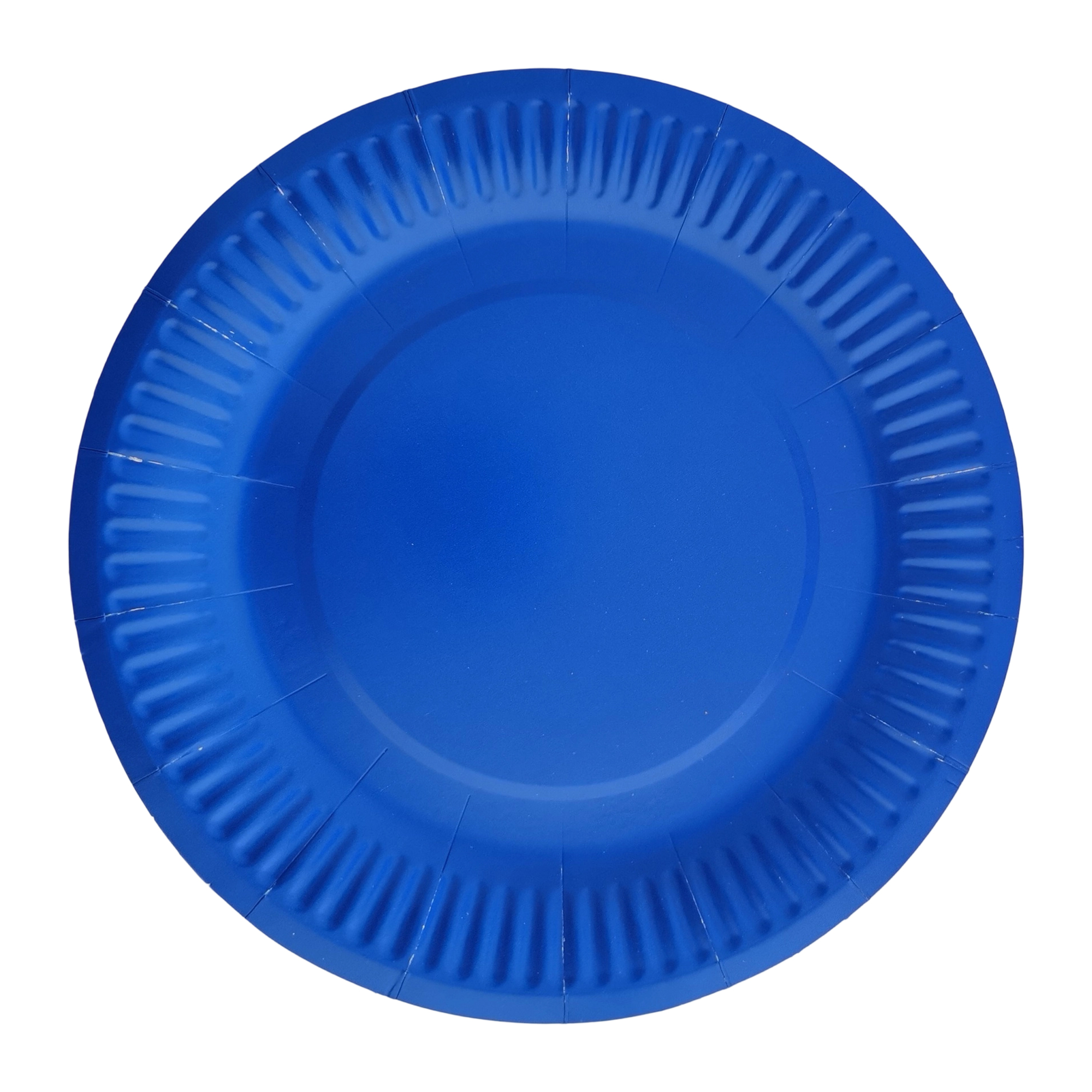 Nine Inch Party Paper Plate Food Safe Disposable 2