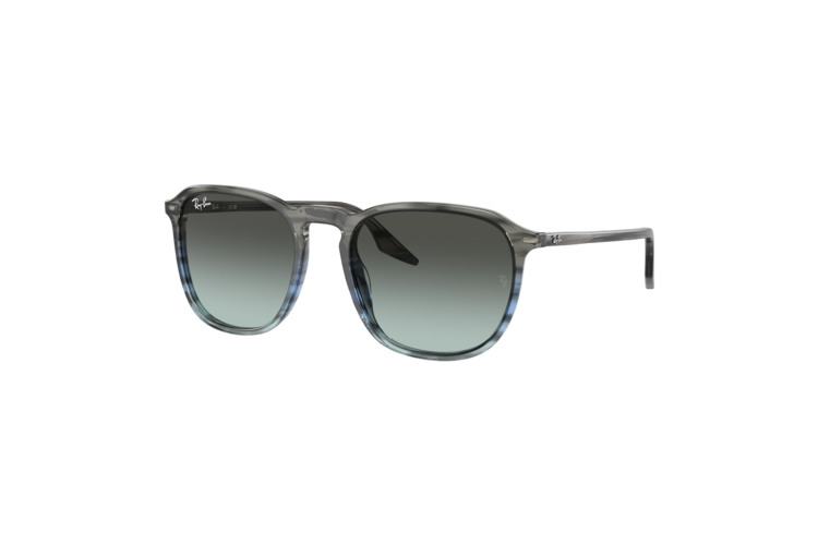 Ray-Ban RB2203 Sunglasses 2