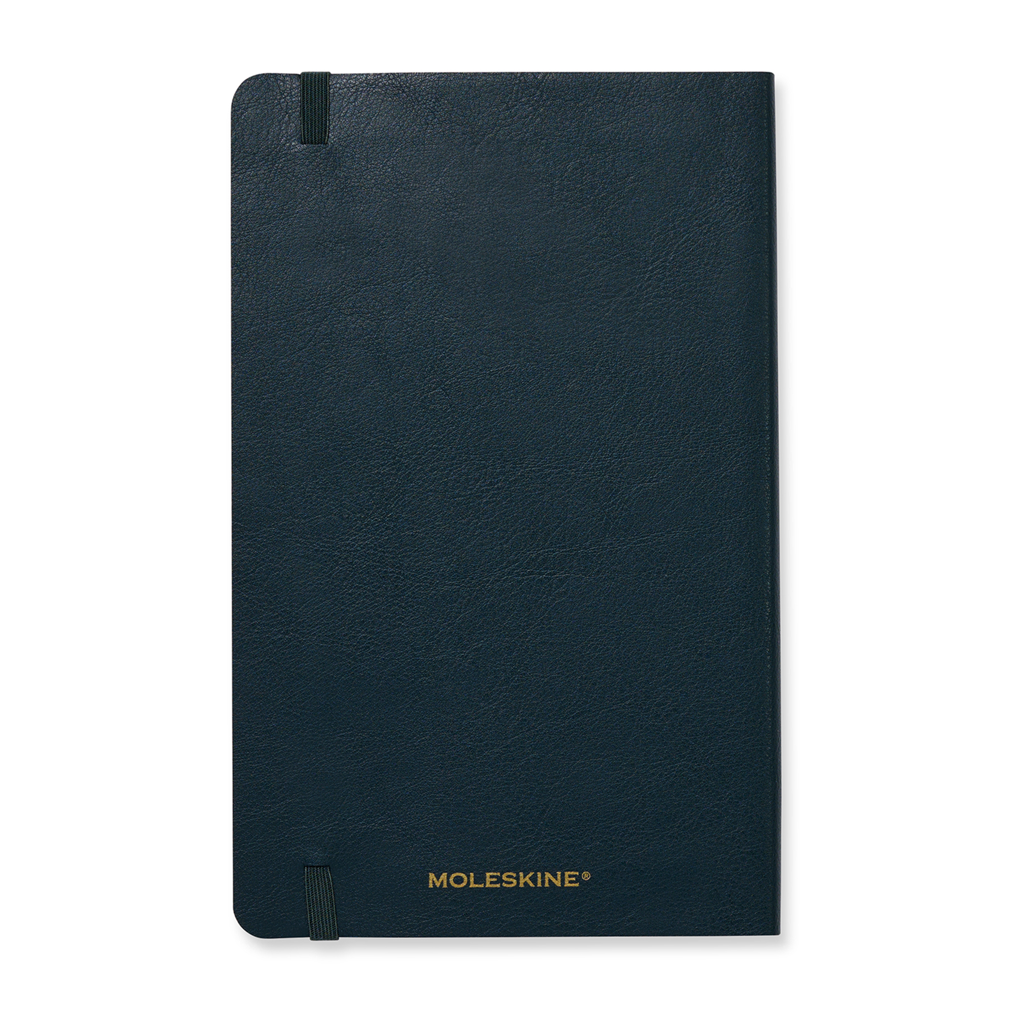 Moleskine® Precious & Ethical Vegan Soft Cover Ruled Large Notebook 6