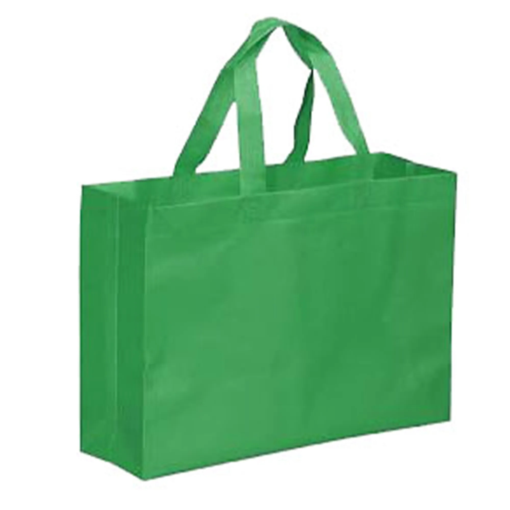 Reusable Large Non-woven Bag 4