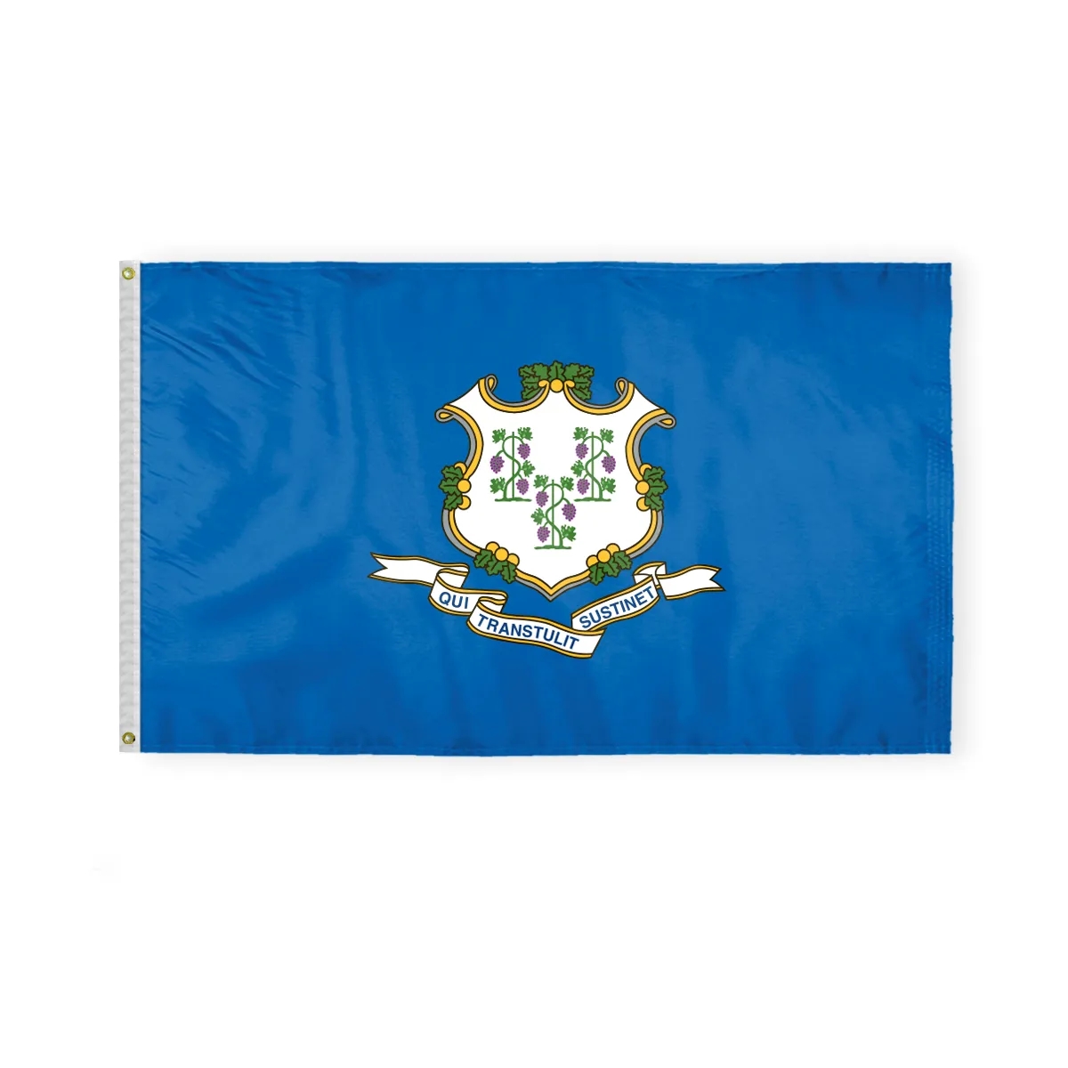 12"x18" to  8'x12'  Connecticut Nylon Flags 1