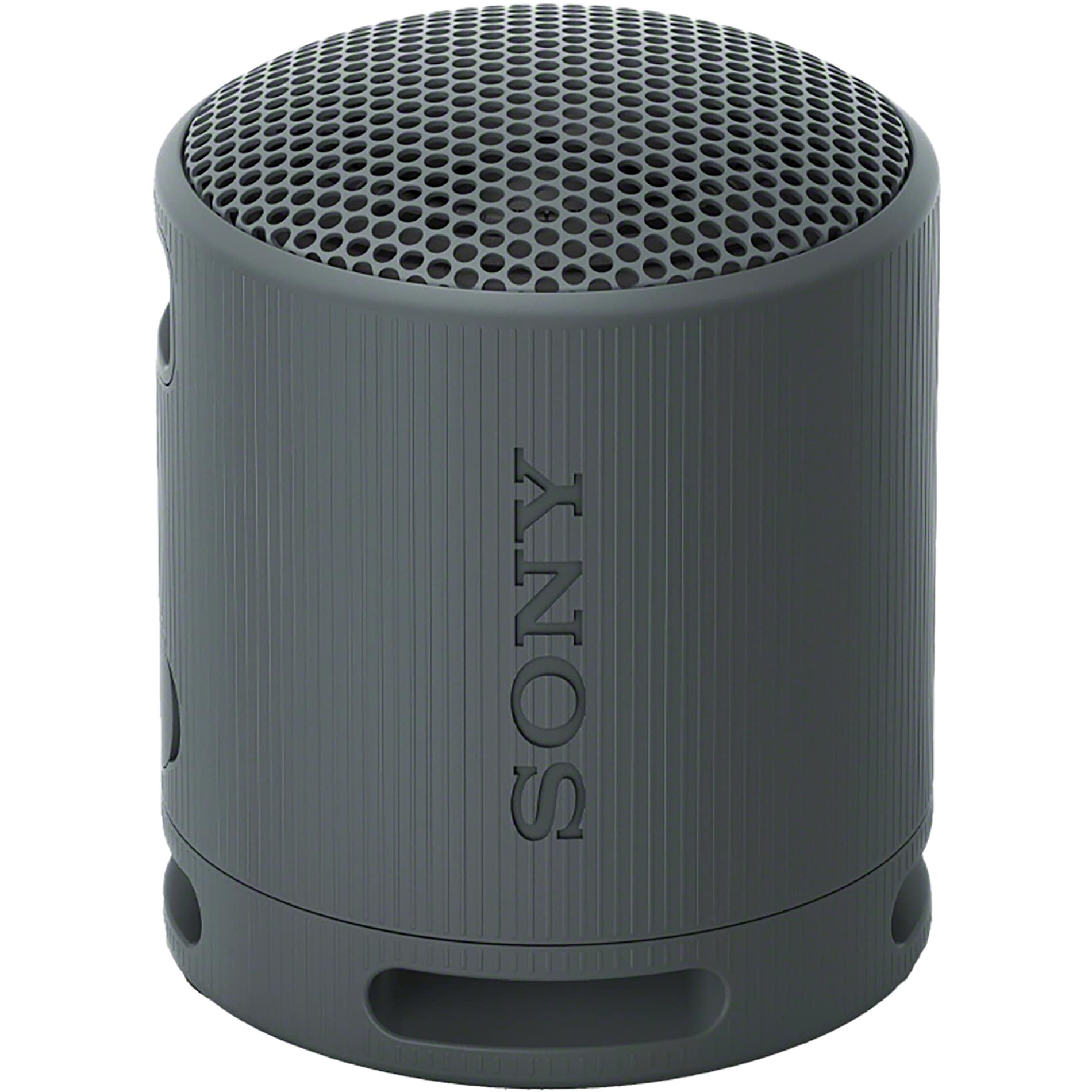 SRS-XB100 Bluetooth Speaker