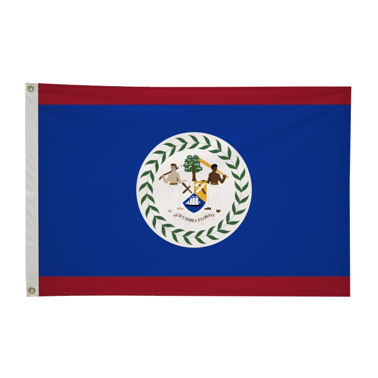 2' x 3'International Flag 193