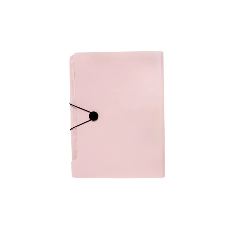 Expanding File Organizer 4