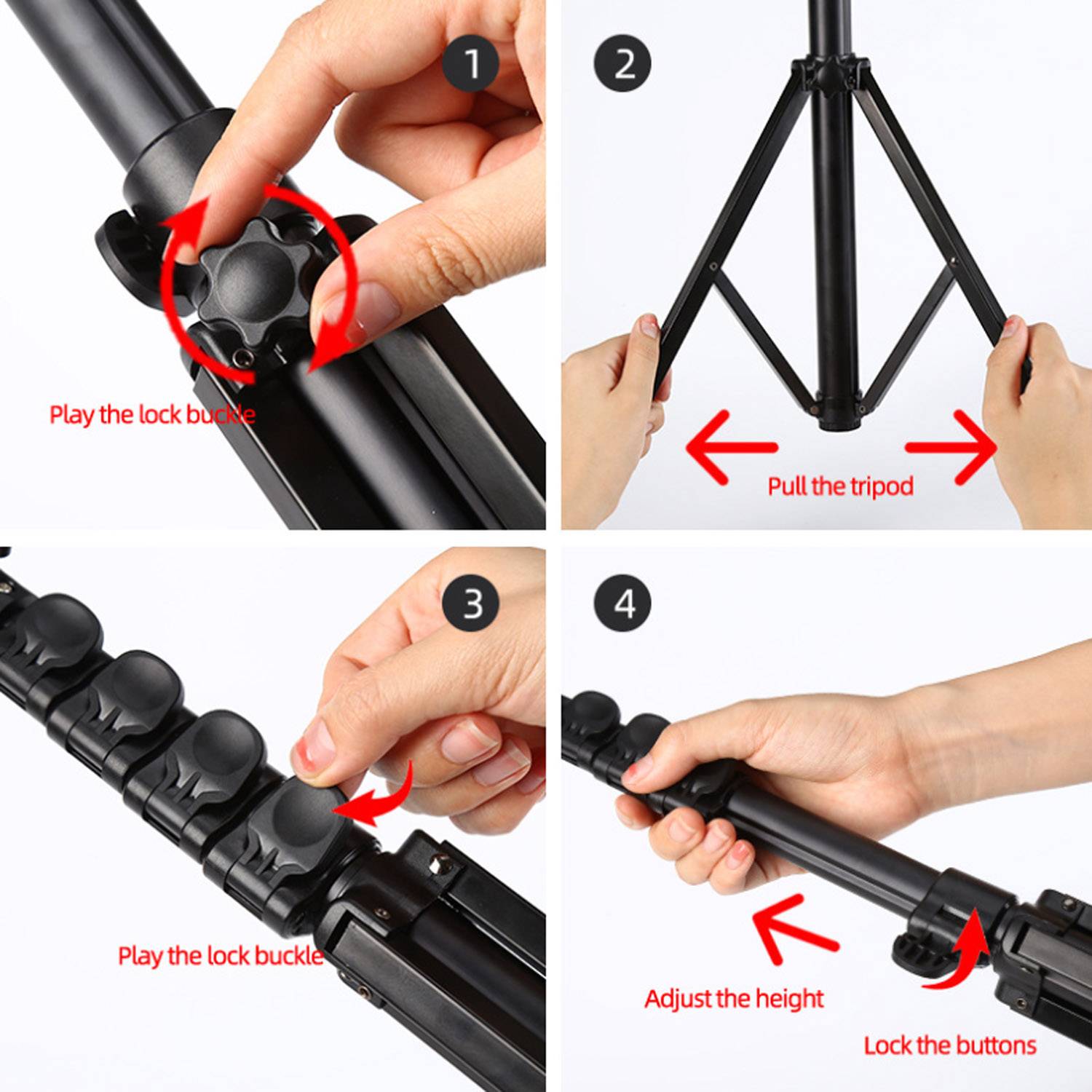 12" LED Ring Light with Adjustable Tripod 6