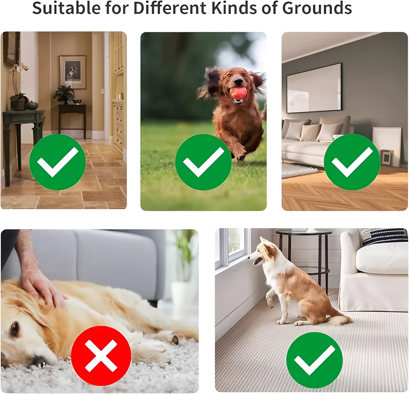 OEM Durable ABS Silicone Dog Ball with Flashing Lights Pet Store Bestseller 3