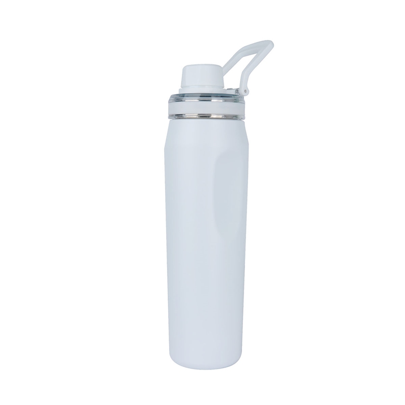 Dominic 22 oz. Double Wall Stainless Steel Water Bottle 36