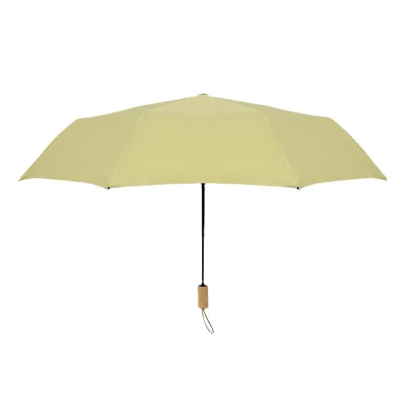 Arc Telescopic Umbrella 2