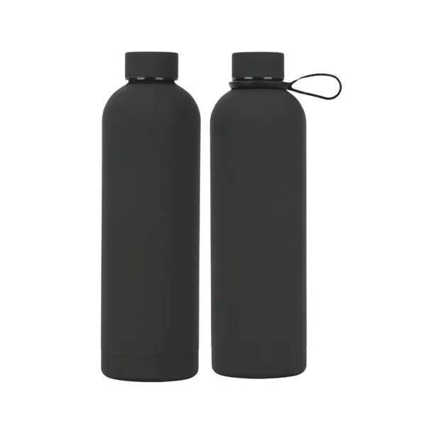 Stainless Steel Water Bottle with Insulated 17 oz 13