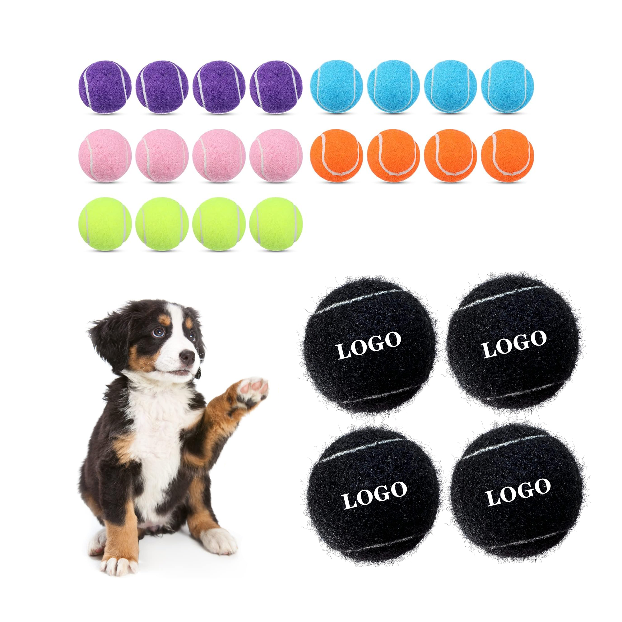 Pet Play Training Tennis Toy 4