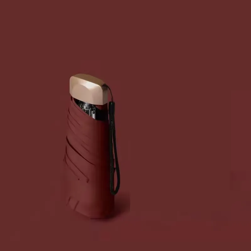 Mini Umbrella 2