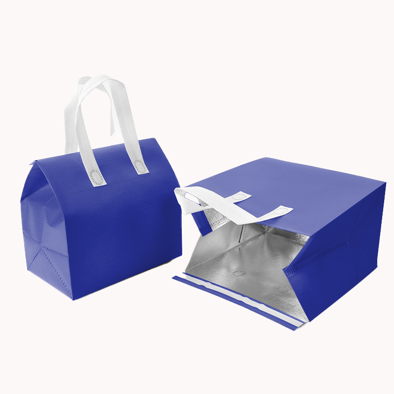 Aluminium Foil Insulation Bag 11