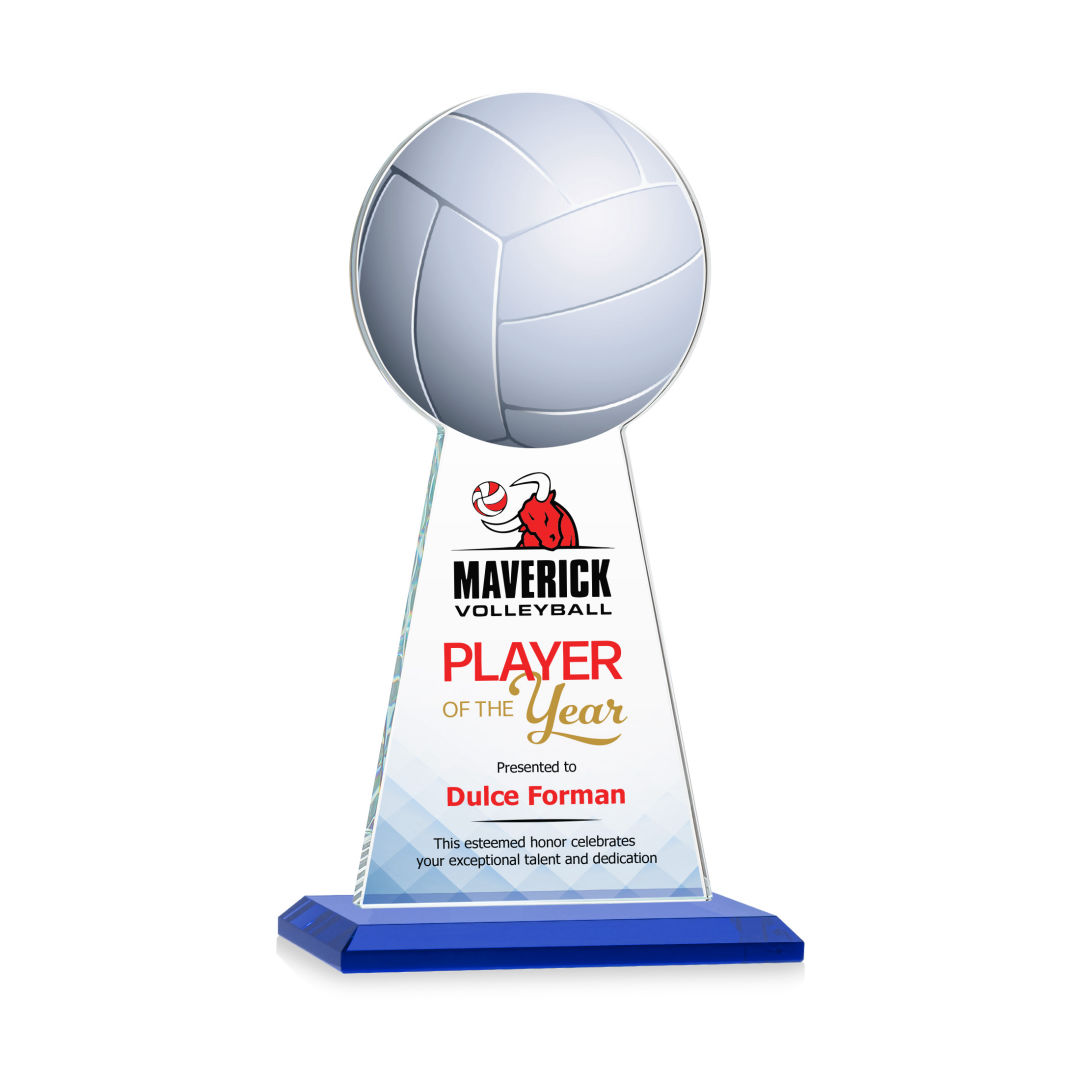 Edenwood Volleyball VividPrint™ Award - Blue 2