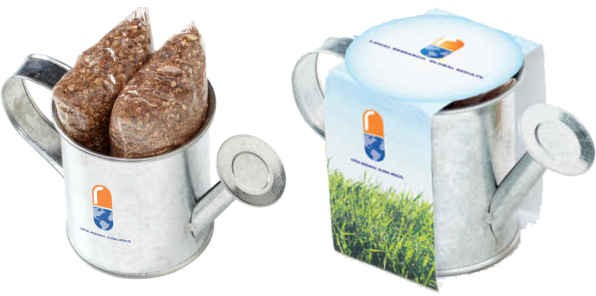 Watering Can Planter w/Seeds