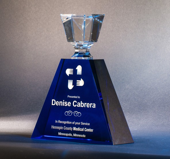 Contemporary Vistas Crystal Moist Award 2