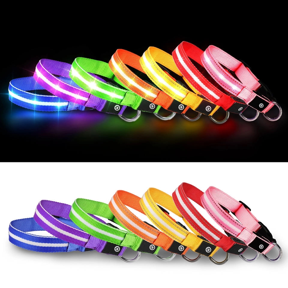 LED Light Up Dog Leash 3