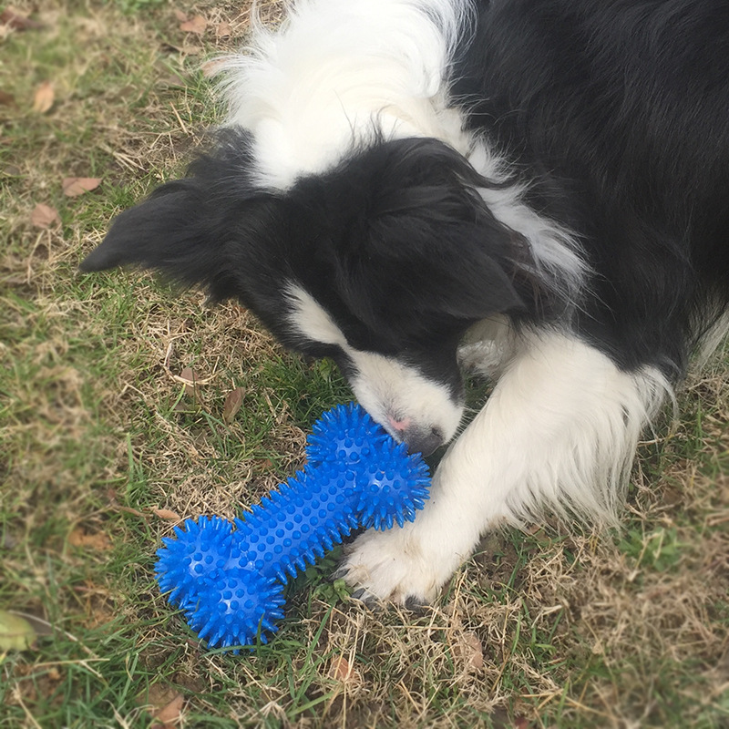 Bone Shape Dog Toys Molars 2