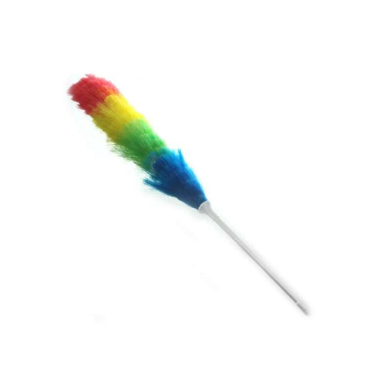 Rainbow Dusters 1
