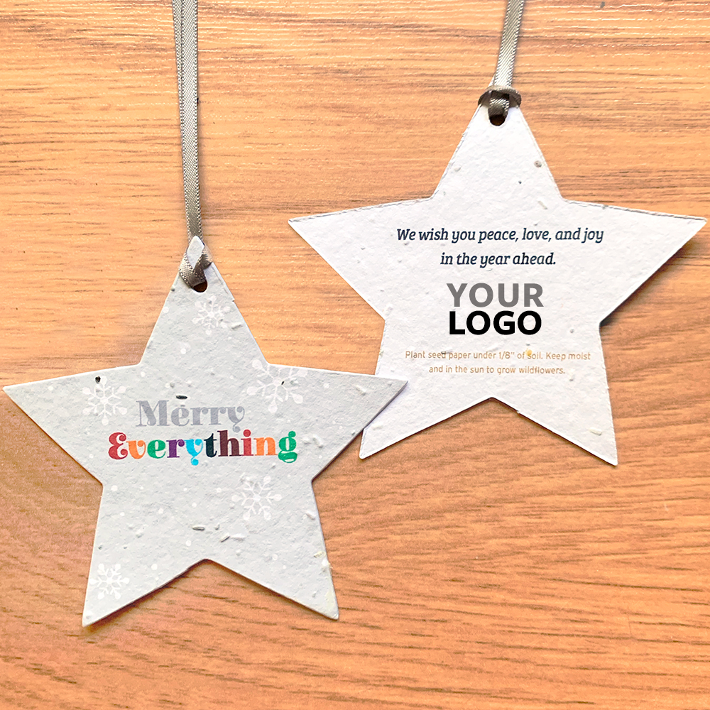 Merry Everything Star Plantable Holiday Ornaments 6