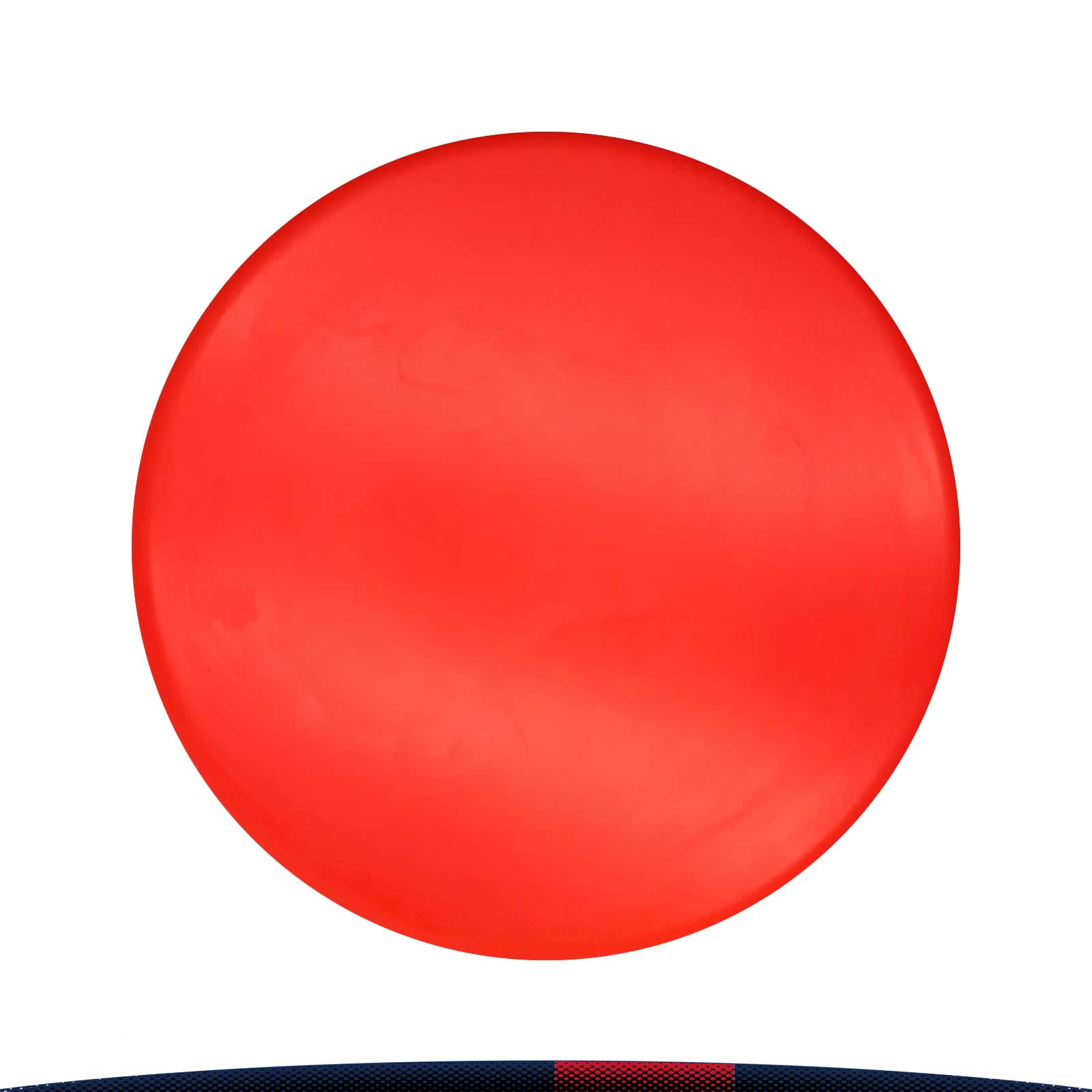 Fimoa Flying Disc 4