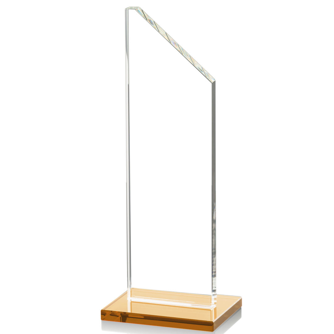 Dixon Award - Amber 8